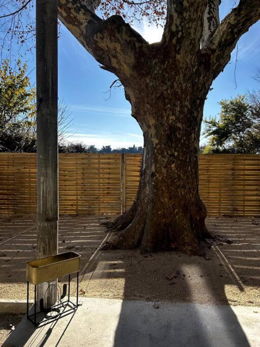 Superbe Appartement Dans Un Mas Nîmes Kültér fotó