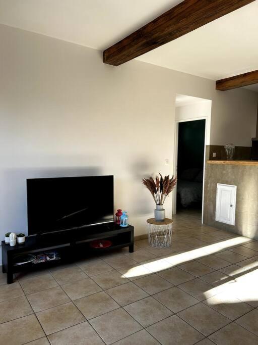 Superbe Appartement Dans Un Mas Nîmes Kültér fotó